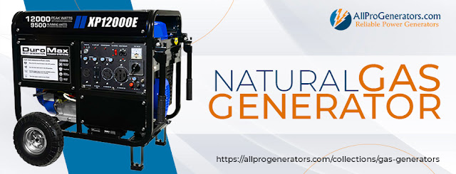 Natural Gas Generator